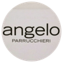 Angelo Parrucchieri - Logo