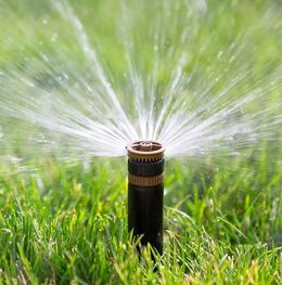 Sprinkler spraying water onto a patch of green grass, bright sunlight.