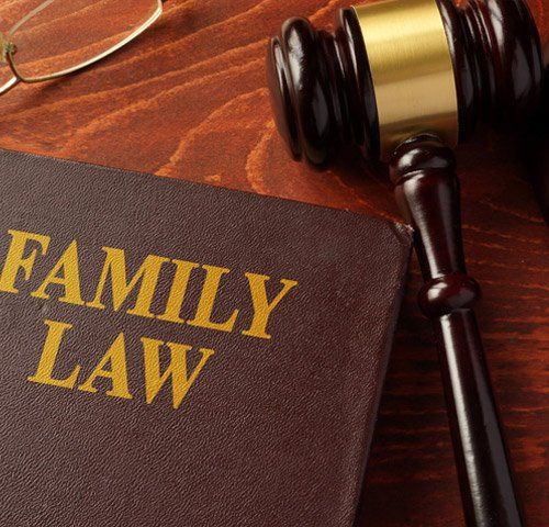 Family Law Book — Sanford, FL — Law Office of Mira Berry