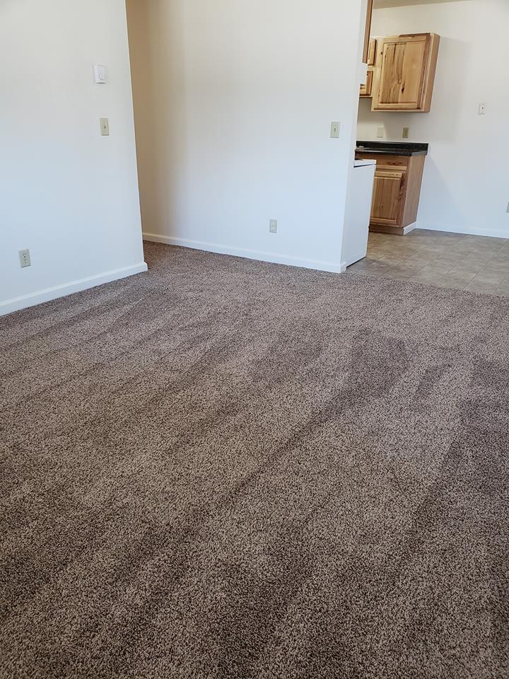 Elite Carpet Cleaning Grand Forks, ND