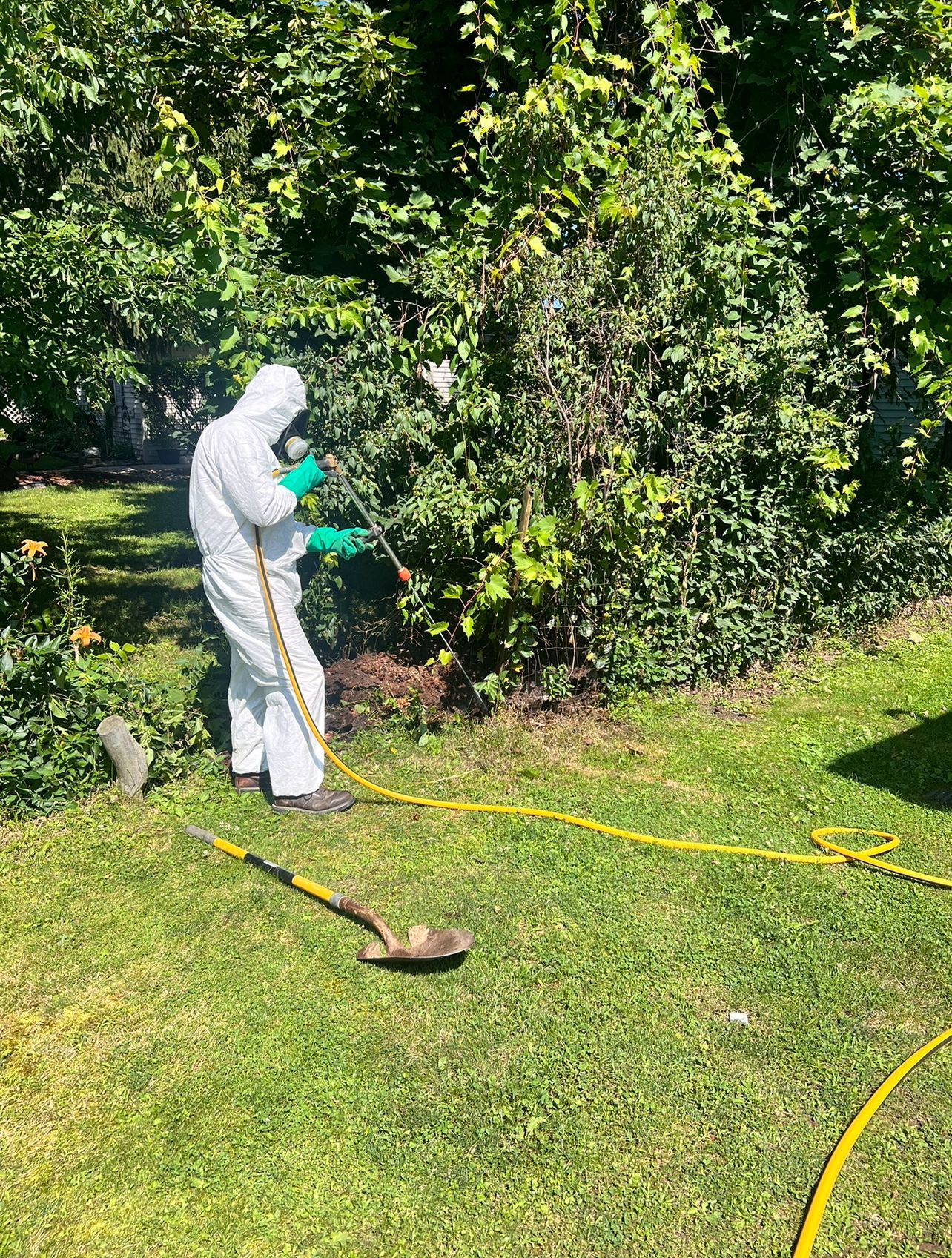 Spraying Chemical to Eliminate Mosquito — Pavilion, NY — Koch Spraying Service, Inc.