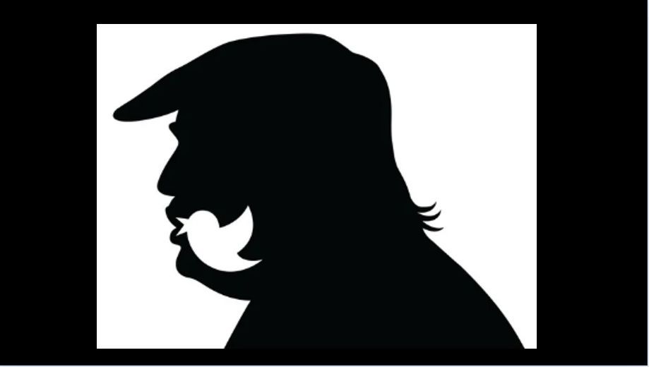 Silhouette of a person wearing a hat with Twitter bird beak and beard.