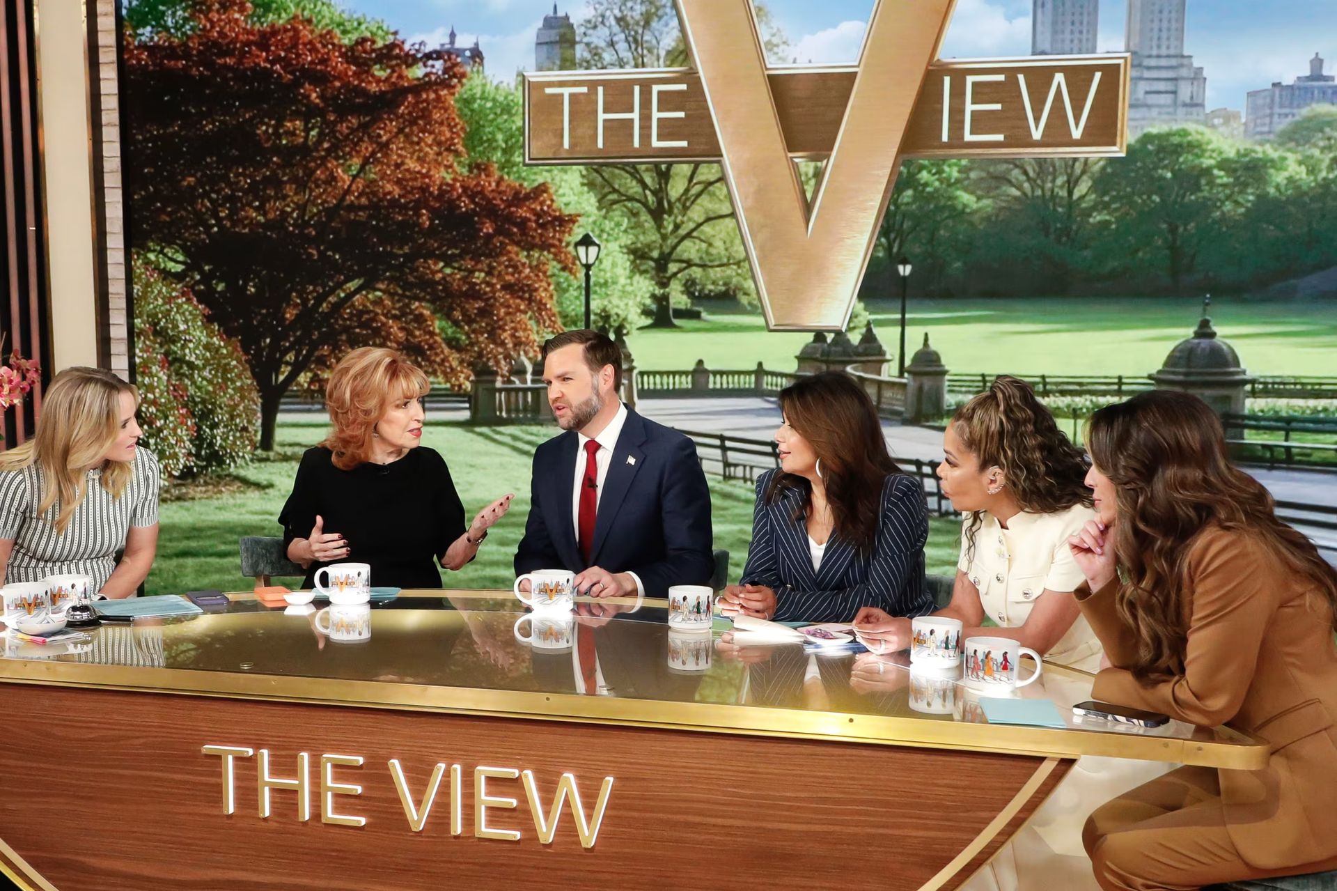 Panelists seated at The View table on a studio set with scenic backdrop