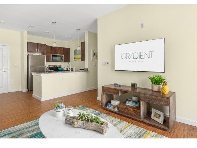 Gradient apartment open flor plan with living room and kitchen.