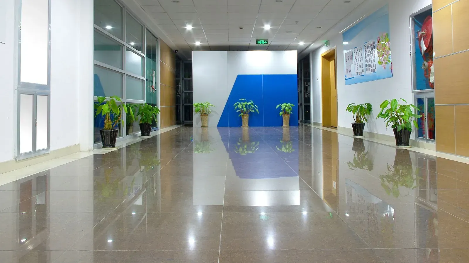 A long hallway in a building with plants on the floor.