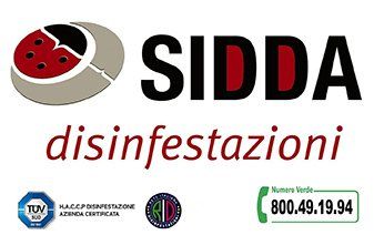 SIDDA DISIMPEST-LOGO