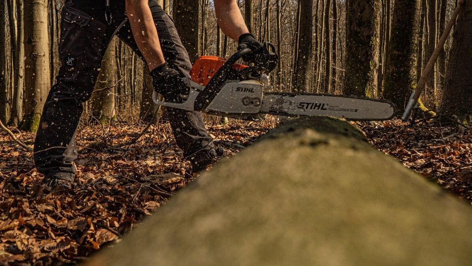 View of a log on the ground getting cut with a chainsaw by man standing next to it.