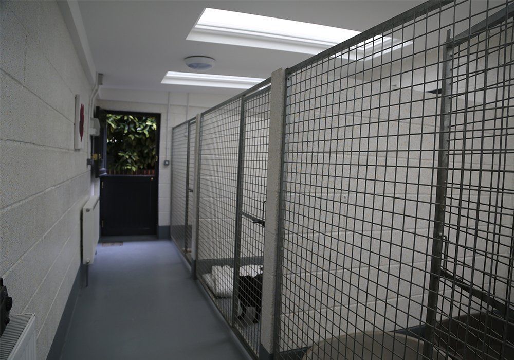 Indoor kennel block of 5