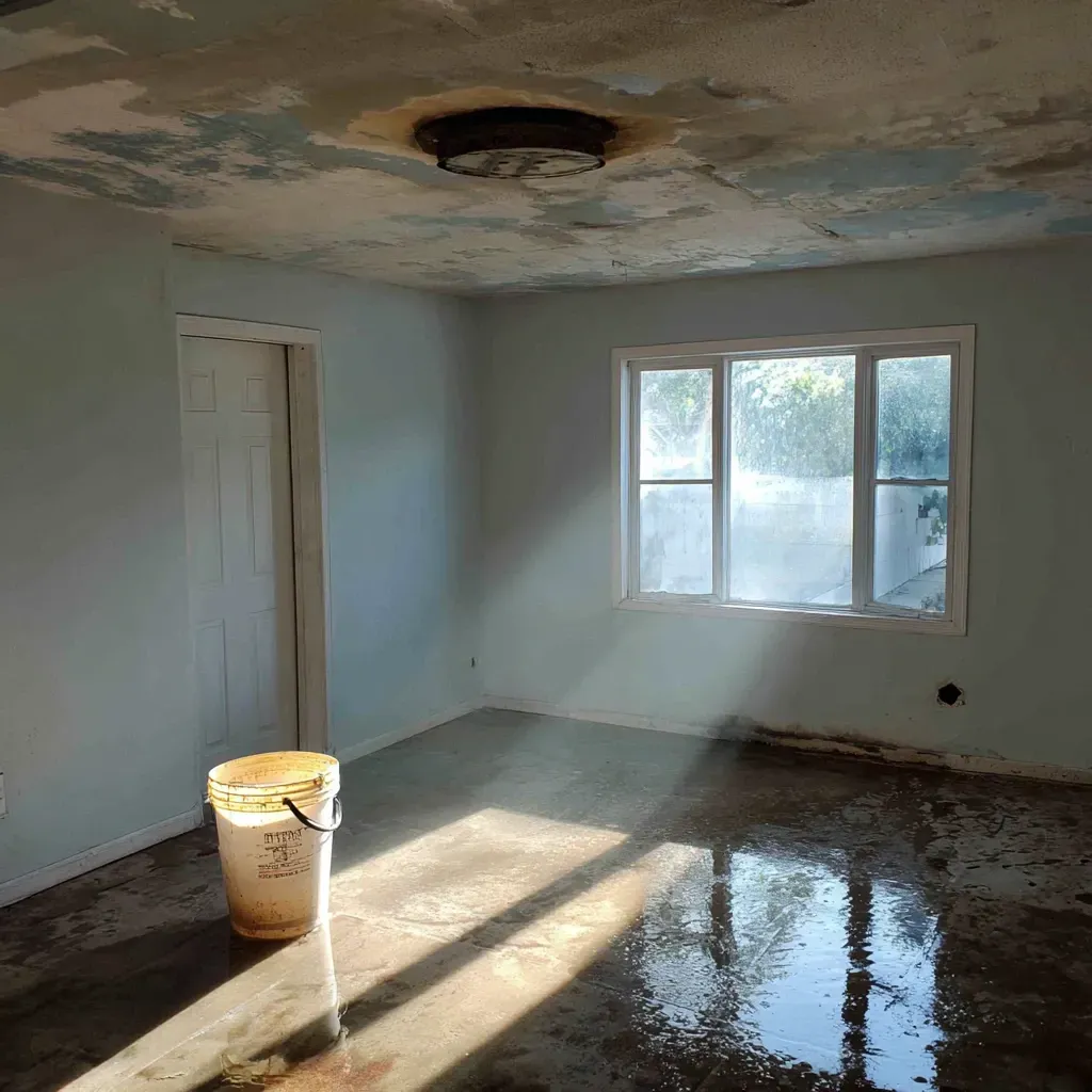 Known for fast response times and quality work in the Riverview FL roofing and renovation industry.