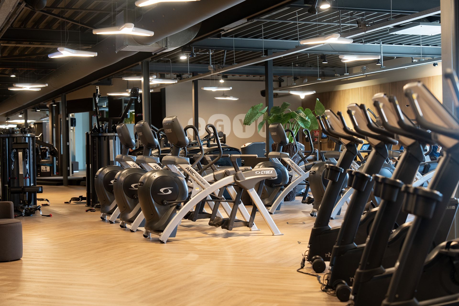 Functionele training: wat is het en waarom is het zo effectief?
