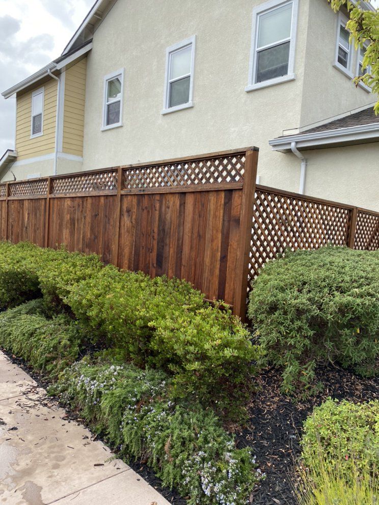A wooden fence is surrounded by bushes and shrubs in front of a house.