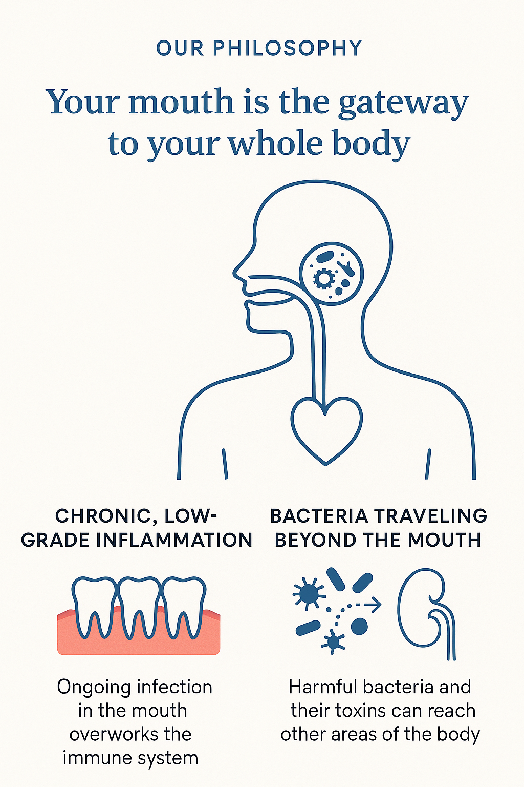 Diagram: mouth as gateway to body. Shows inflammation, bacteria spread; text: Our philosophy.