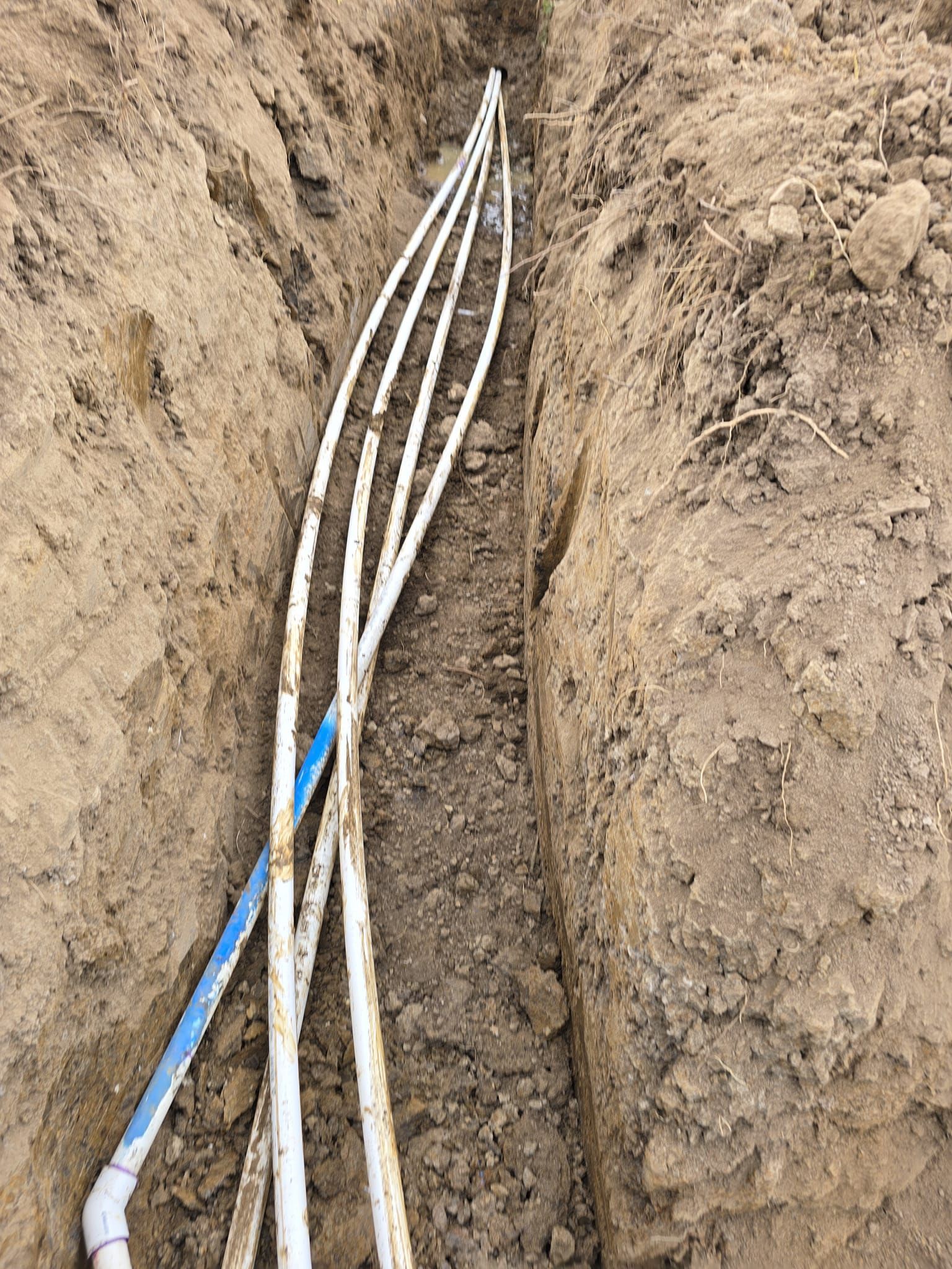 White pipes in a narrow trench, set in brown soil, a blue pipe is visible on the left.