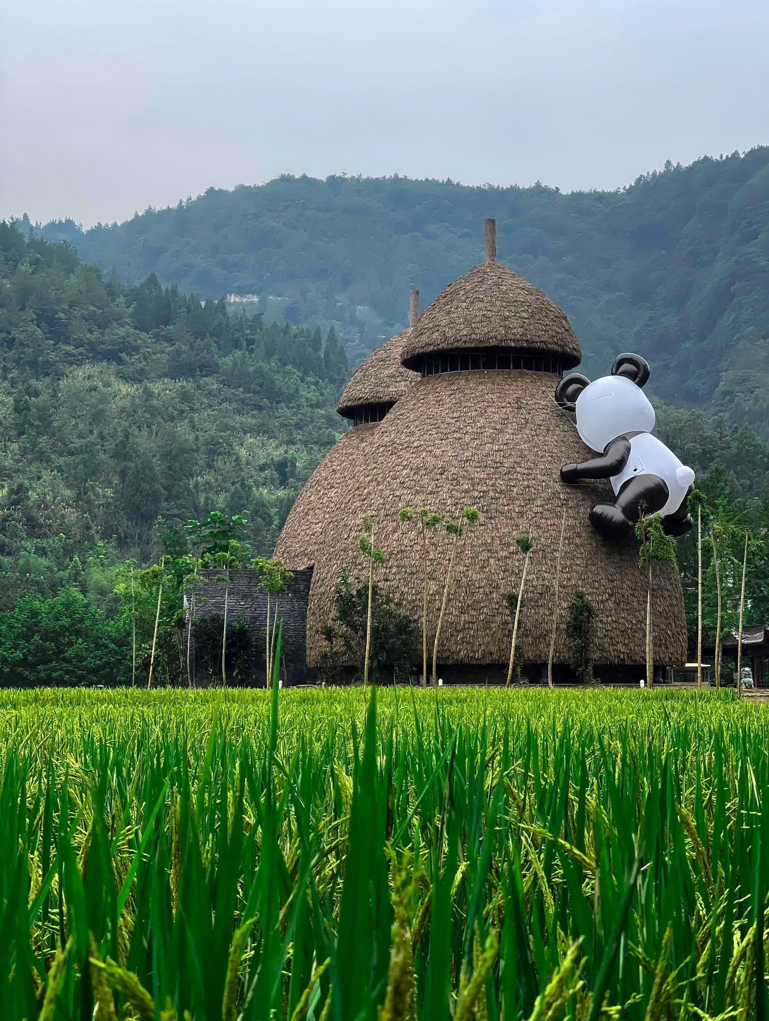 A thatched hut in the middle of a lush green field