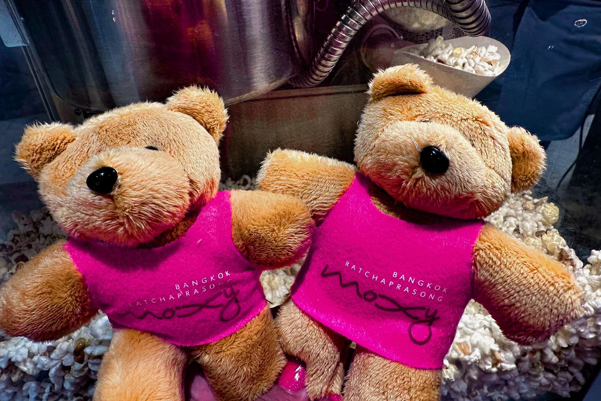 Two teddy bears wearing pink shirts are sitting next to each other.