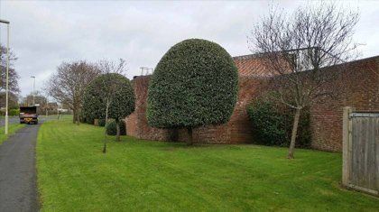 attractively trimmed hedge