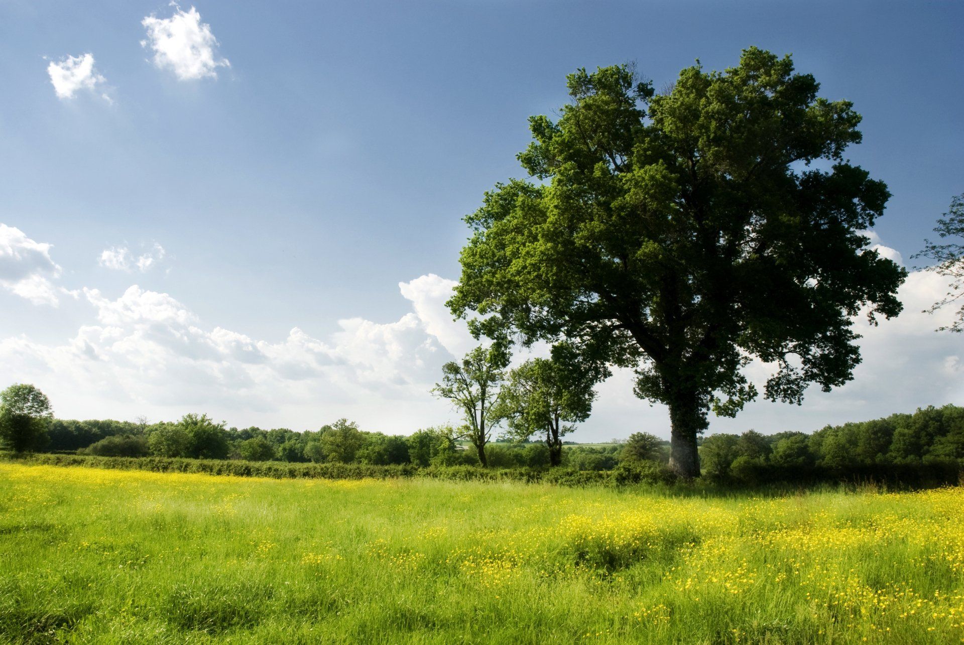 Charente