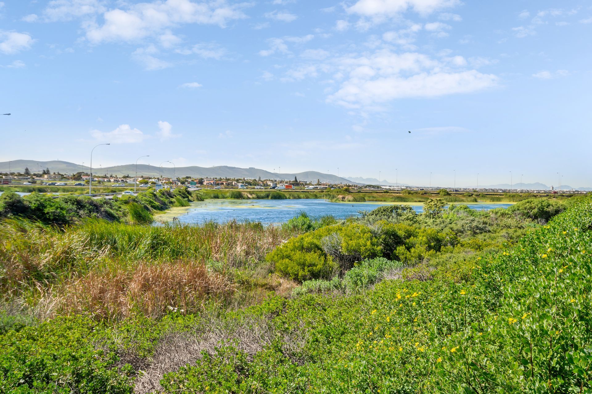 C'è un grande specchio d'acqua in mezzo a un lussureggiante campo verde.