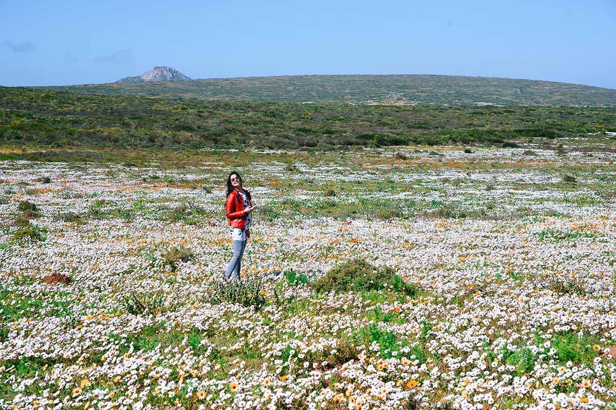 A woman is standing in a field of flowers.