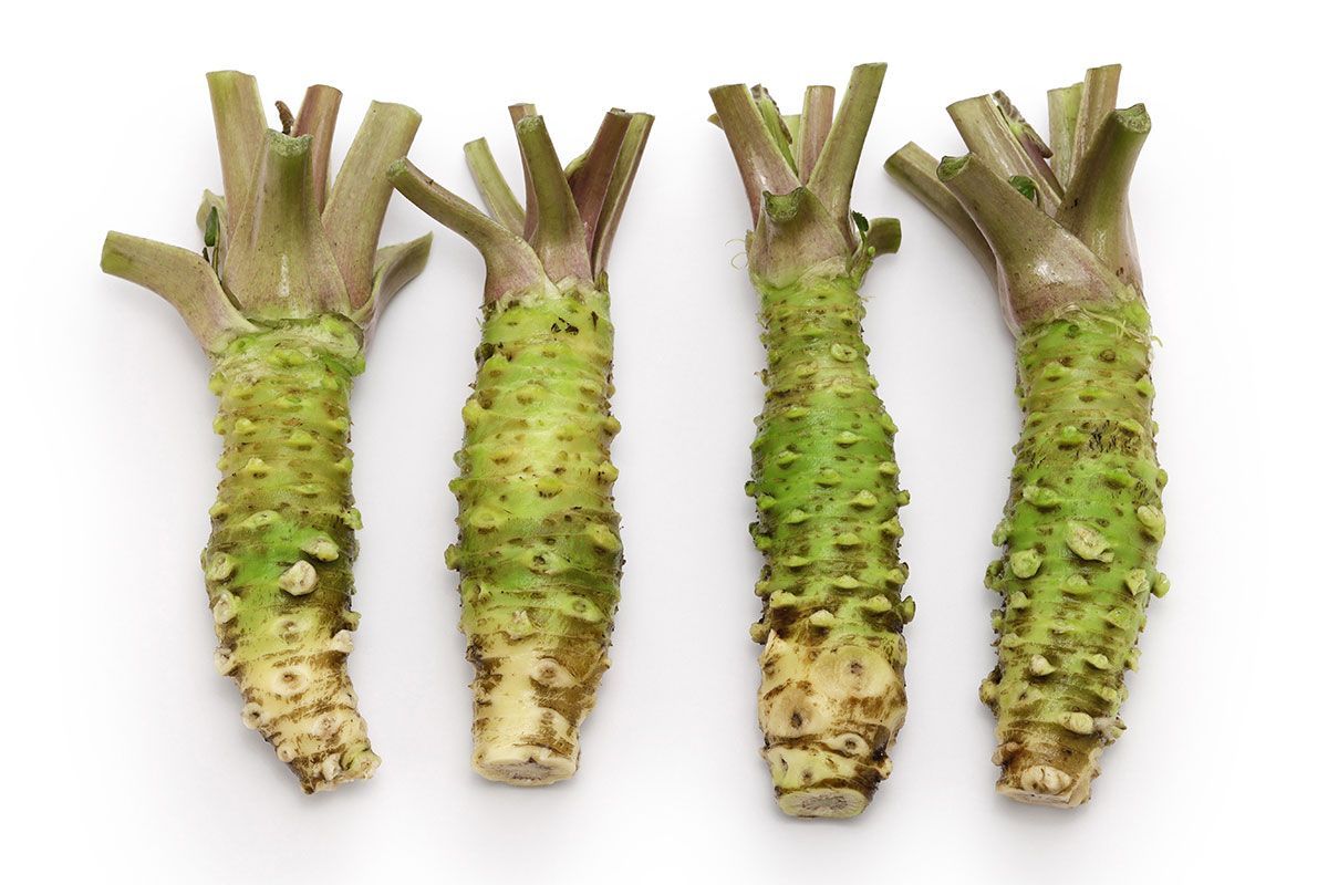 A bunch of green vegetables on a white background