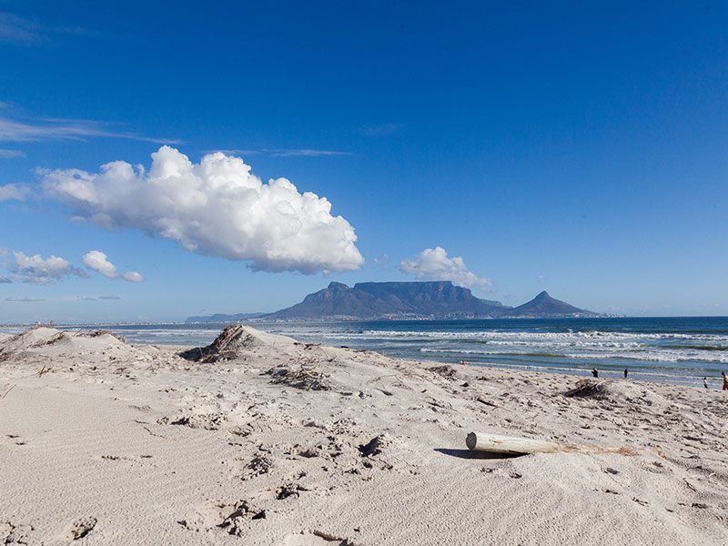 Een strand met een berg op de achtergrond en een boomstam op de voorgrond.