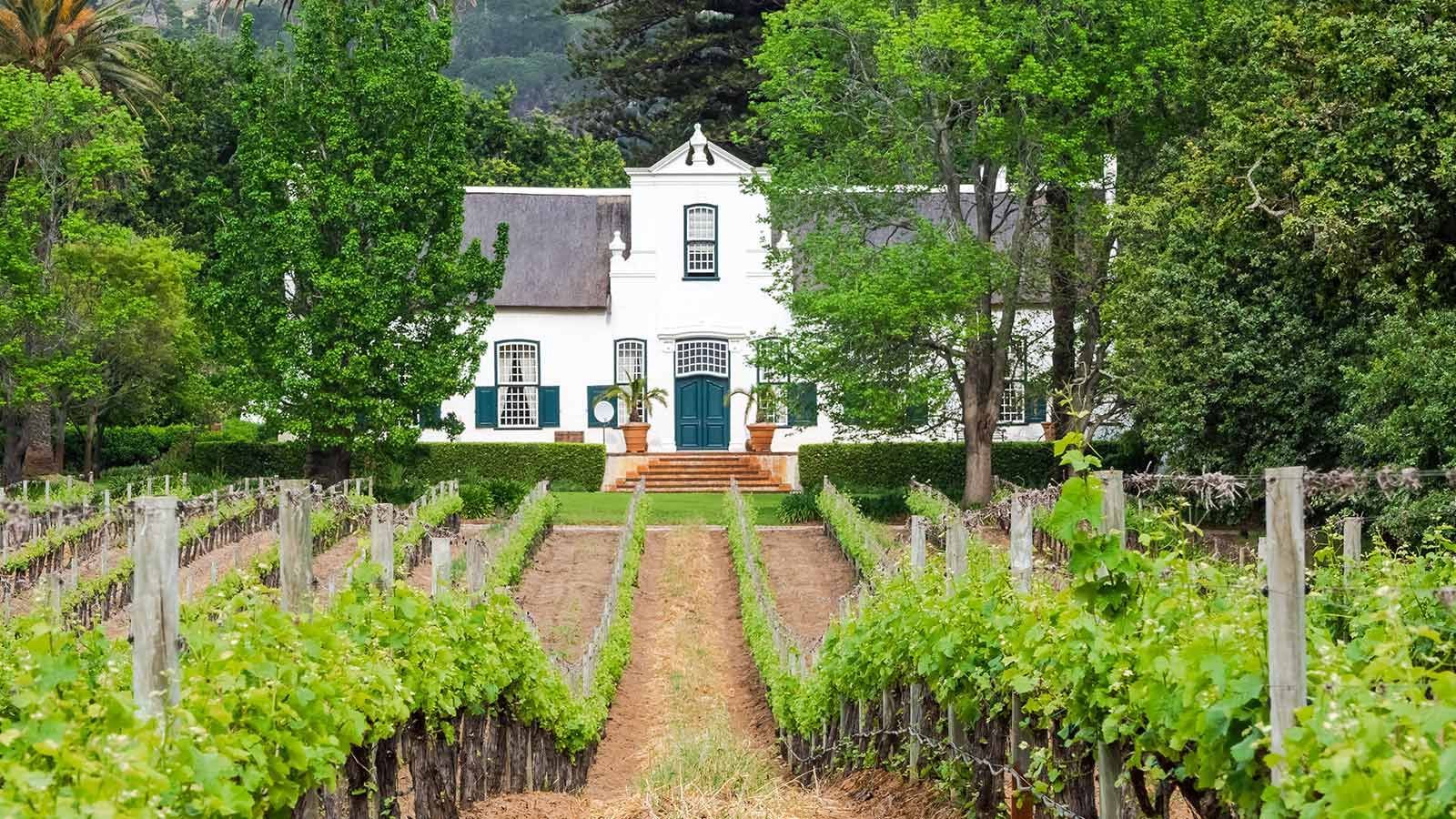 A white house is surrounded by vineyards and trees.