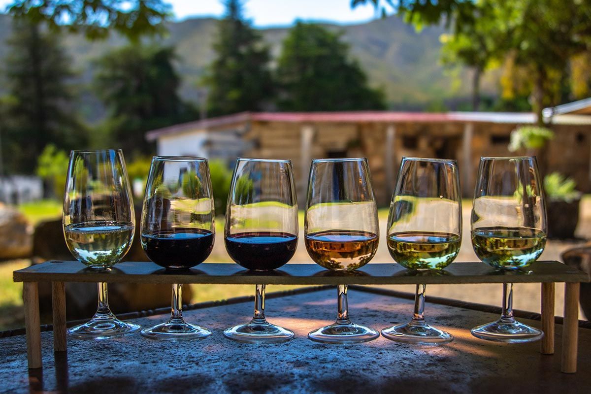 A row of wine glasses filled with different types of wine on a table.