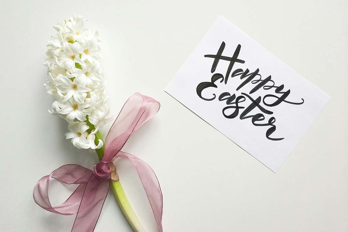 A white flower with a pink ribbon and a happy easter card.