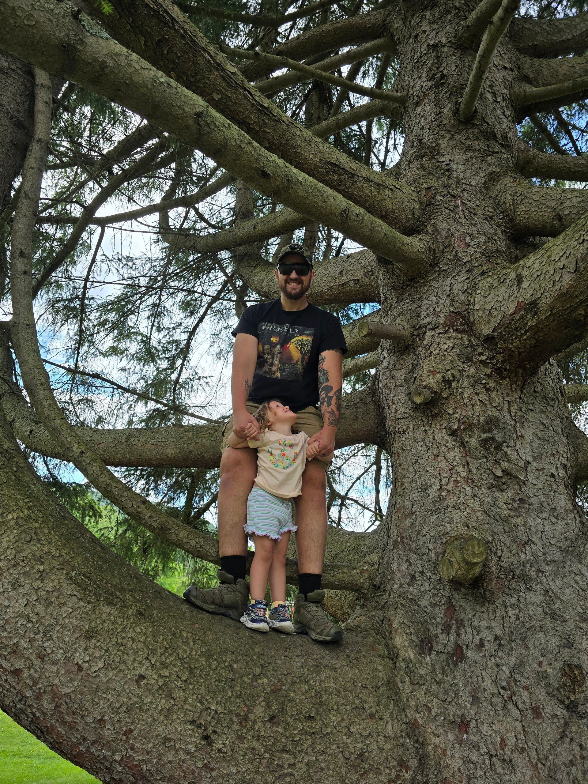 Man with beard holds a small child in a large tree, both smiling. Outdoors, blue sky.