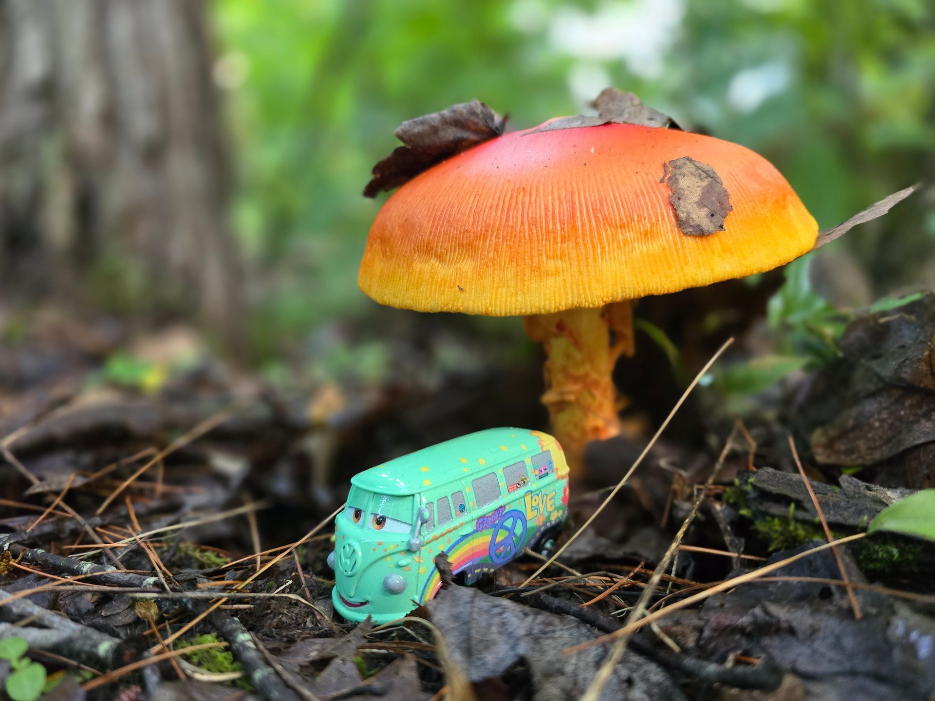 Green toy bus under a large orange and yellow mushroom in a forest setting.