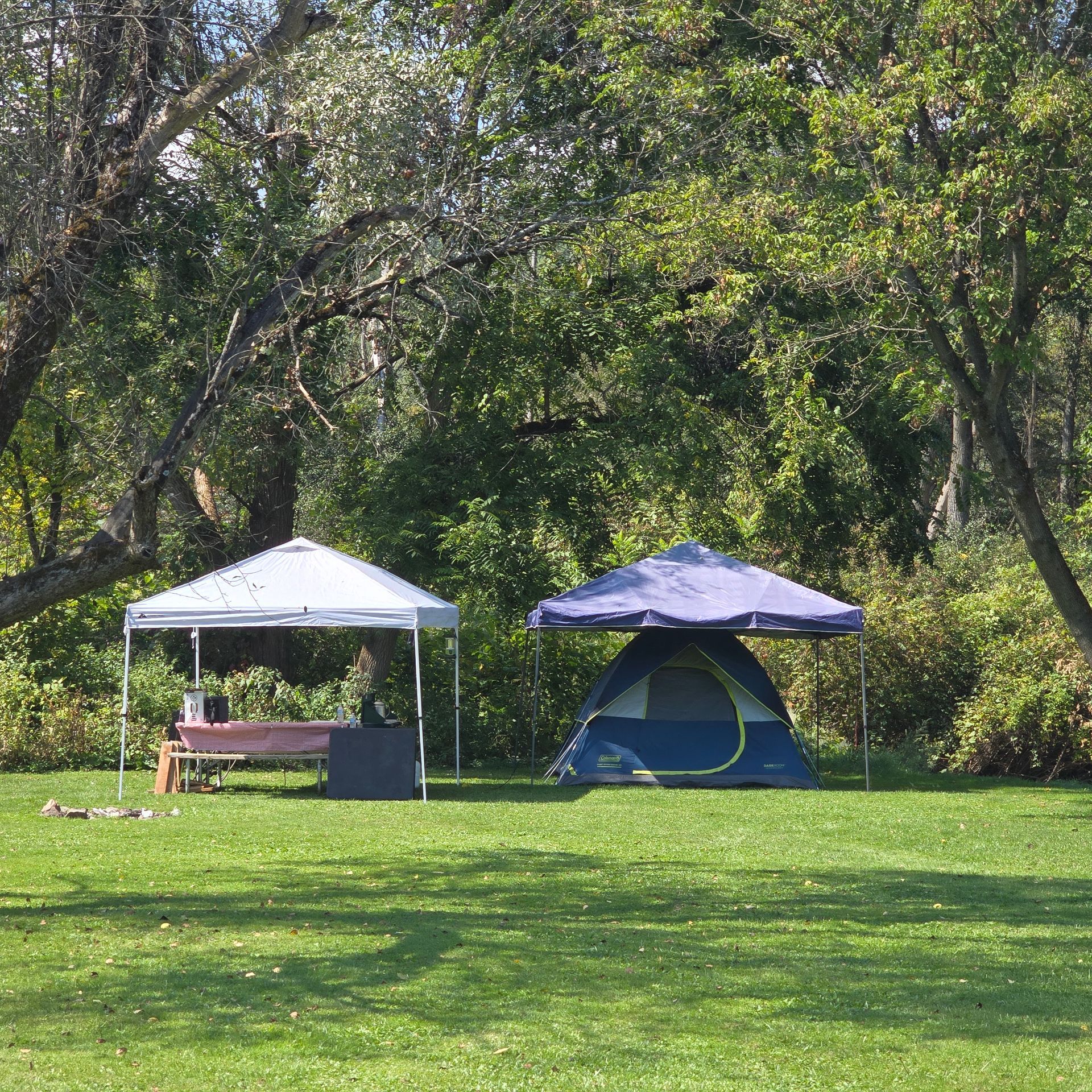 Camping scene: tent and canopy on grassy area, surrounded by trees.