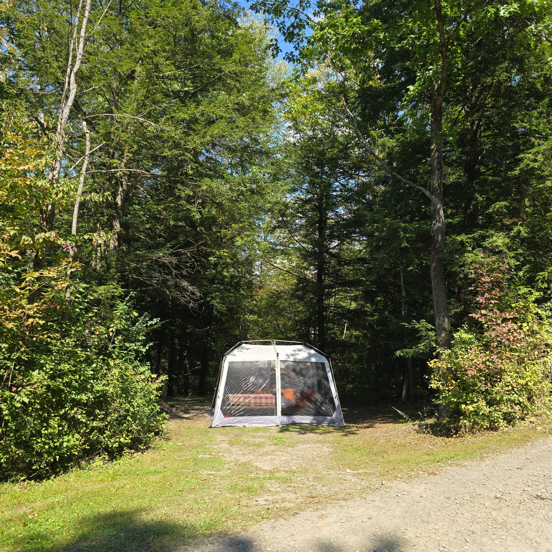 White screened shelter sits between trees in a clearing, surrounded by green foliage and grass.