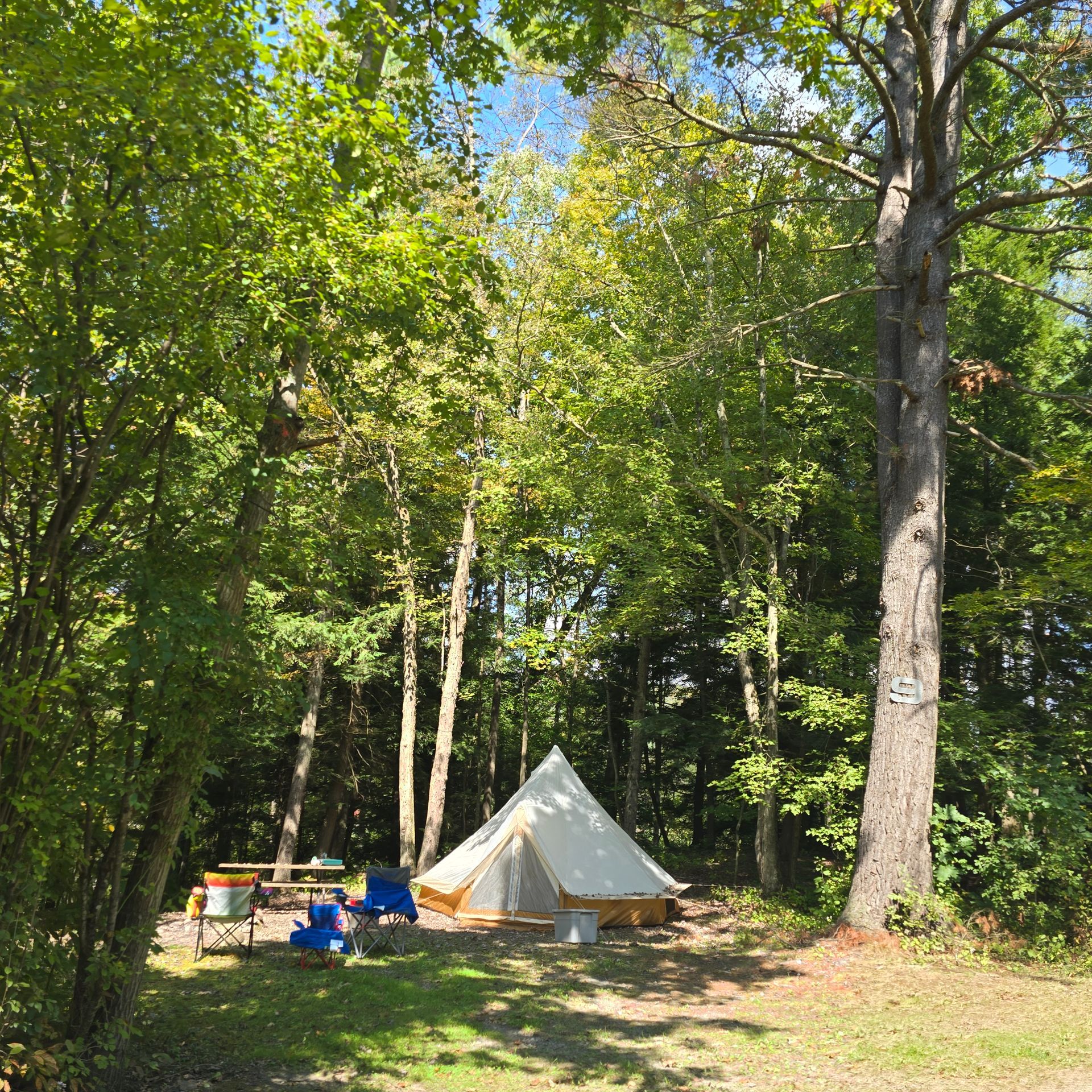 A white tent sits in a sunlit forest clearing, with blue chairs and picnic table.