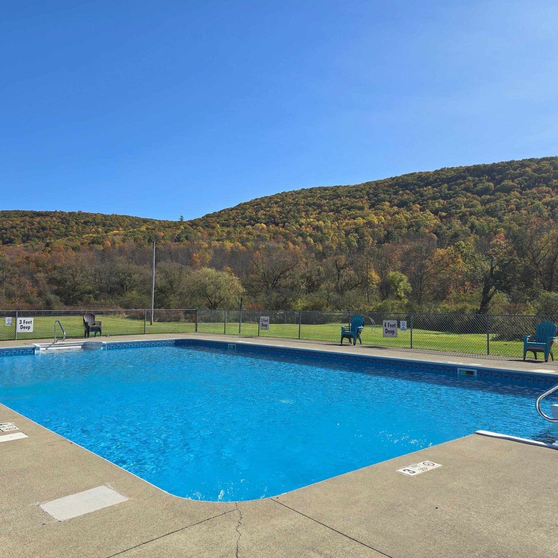 Outdoor swimming pool with blue water, in front of a hill covered with trees. Clear blue sky.