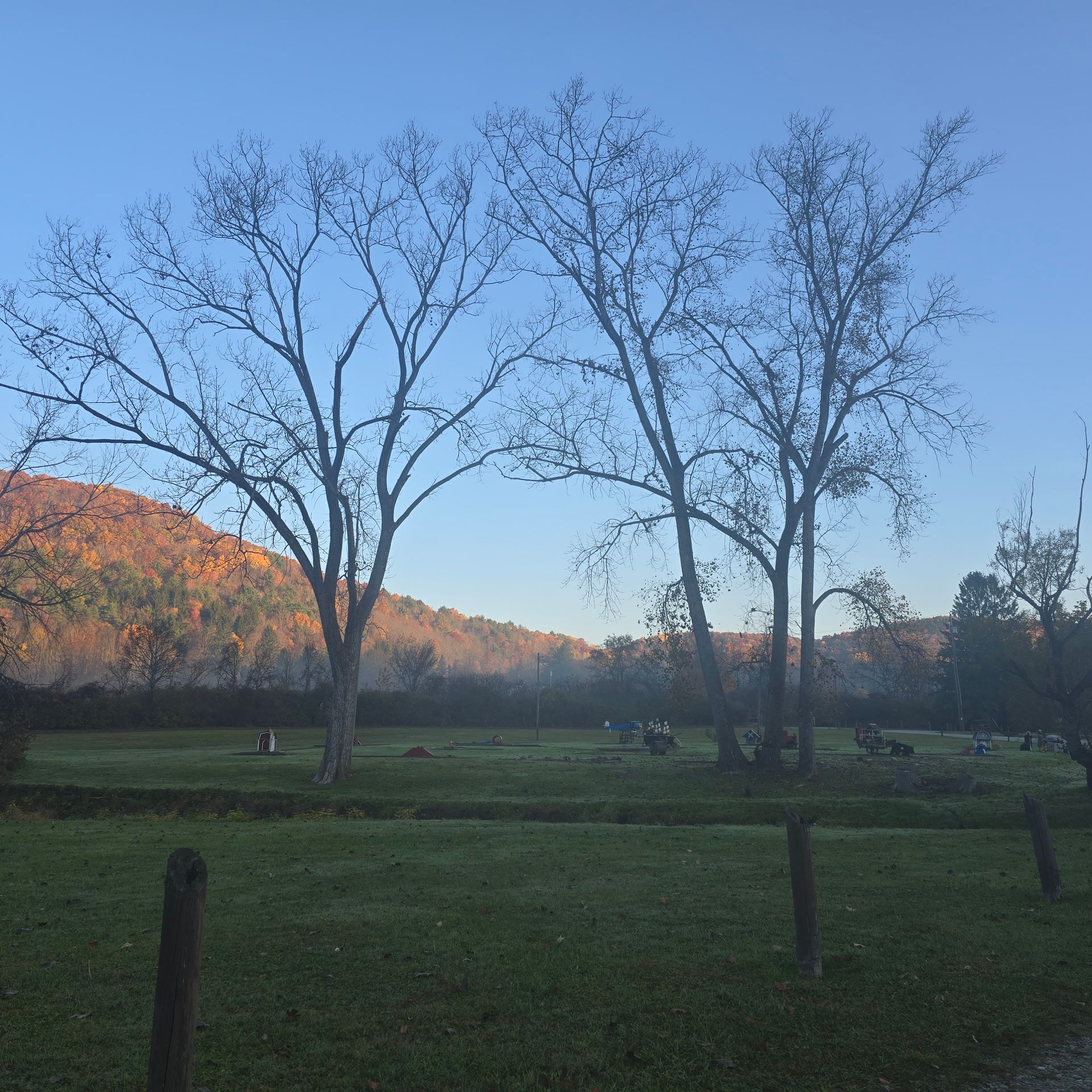 Trees frame a green field with cows grazing, a forested mountain in the background, under a blue sky.