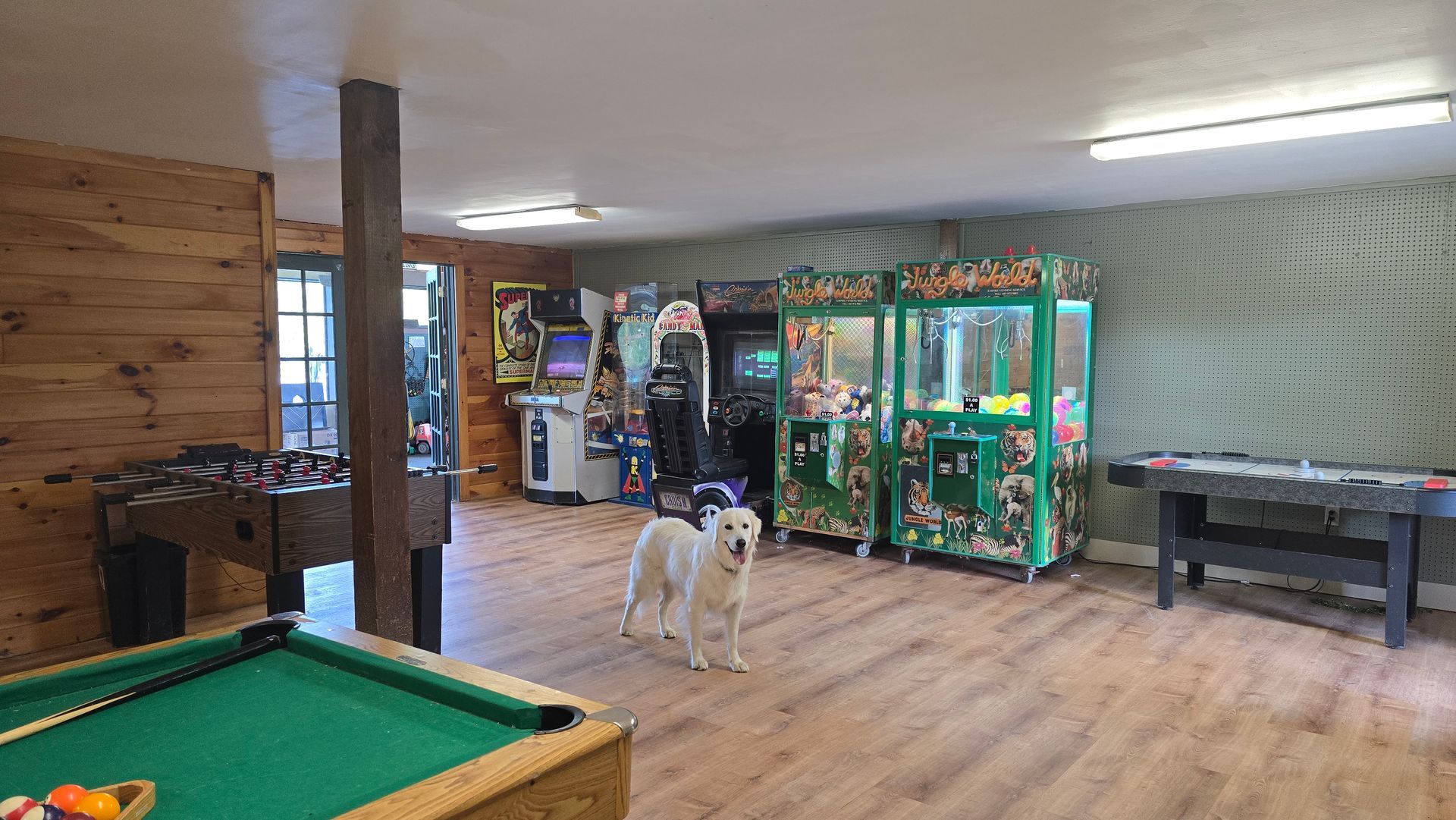A dog stands in a game room with arcade games, a pool table, and foosball tables.