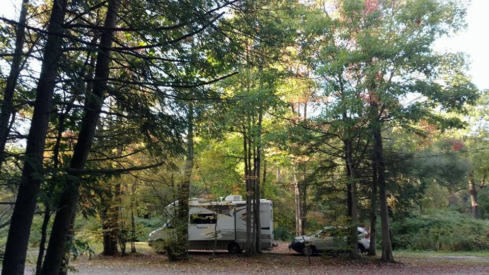 RV and truck parked in a wooded campsite, surrounded by trees with green and yellow leaves.