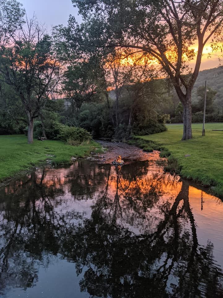 Sunset reflections in still water; trees, grass, and orange sky.