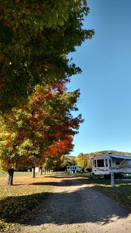 A campsite in autumn; trees with colorful foliage line a gravel road, RVs are parked. Sunny day.