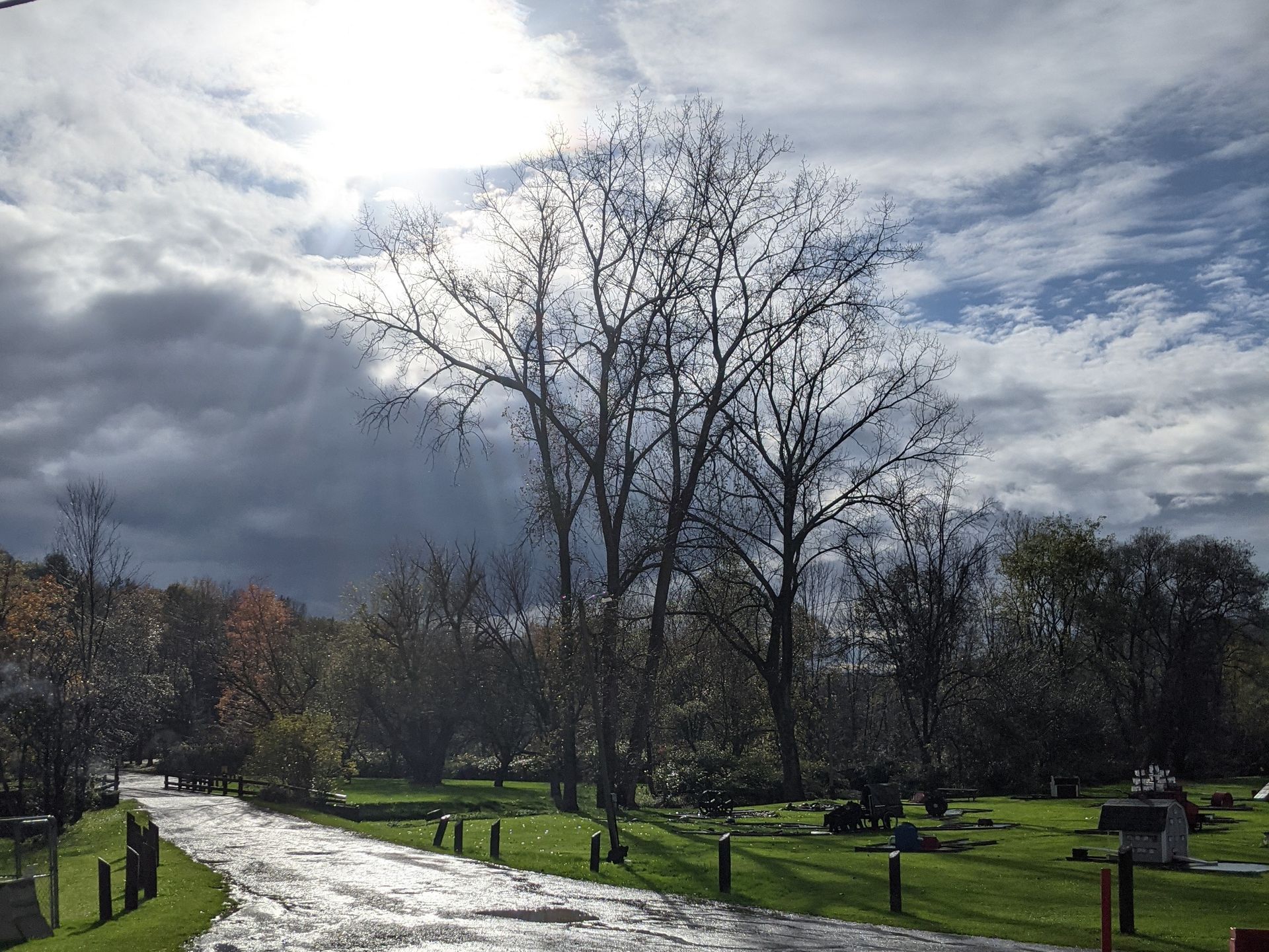 Trees stand in a cemetery on a cloudy day; a path and tombstones are visible.