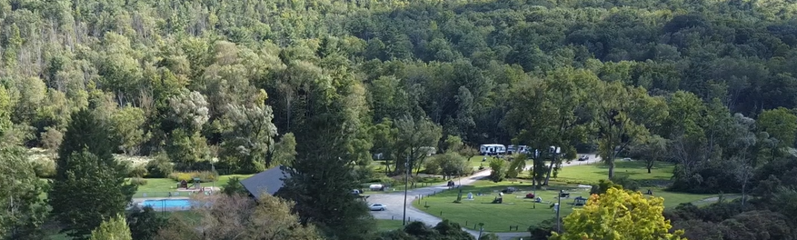 Panoramic view of a lush green forest and a grassy area with a road, buildings, and trees in the middle.