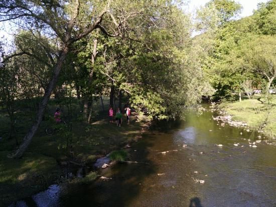 River flowing by a grassy bank with people, shaded by trees.