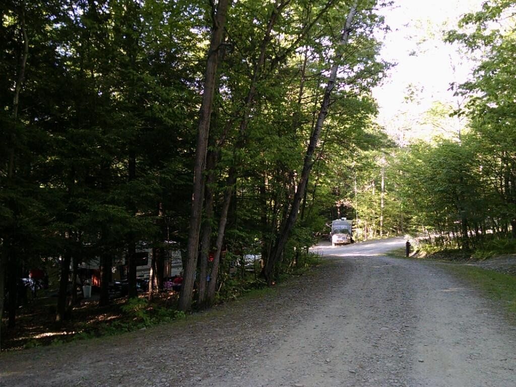A gravel road winds through a shaded campground, with an RV visible in the distance.