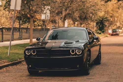 Black Dodge Challenger with racing stripes parked on a brick-paved road, surrounded by trees.