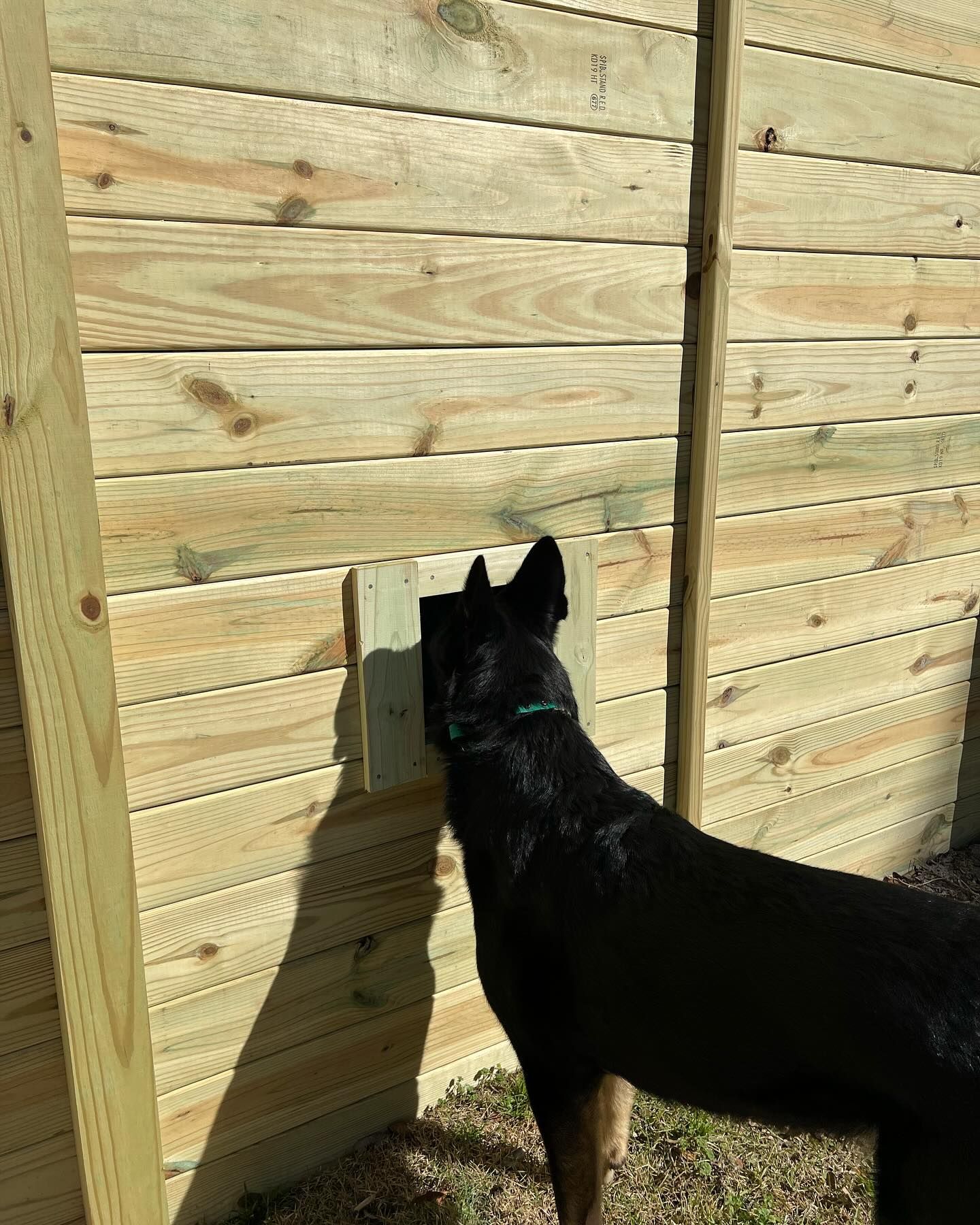 Wood | Wilmington, NC | Murray and Son Fence