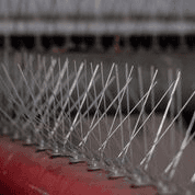 A close up of a row of bird spikes on a red surface.