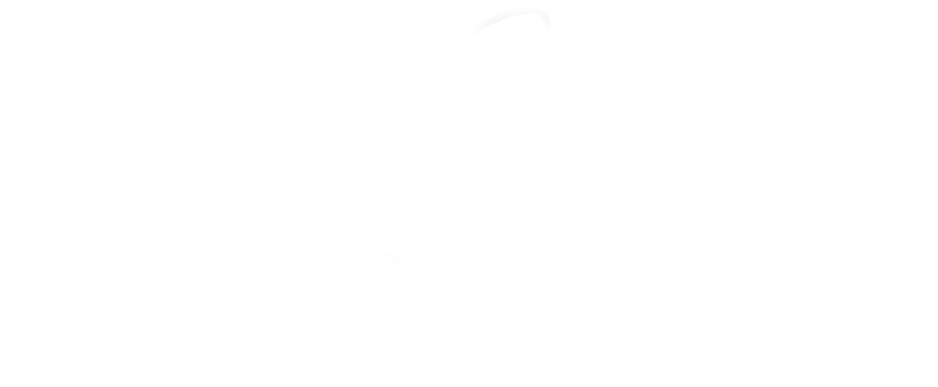 Bayview Law Firm