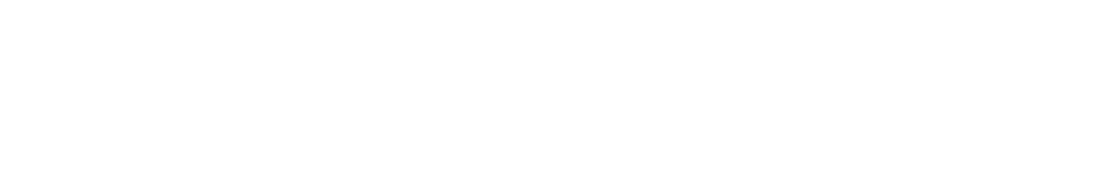 Stek USA logo