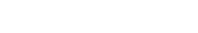 Stek USA logo