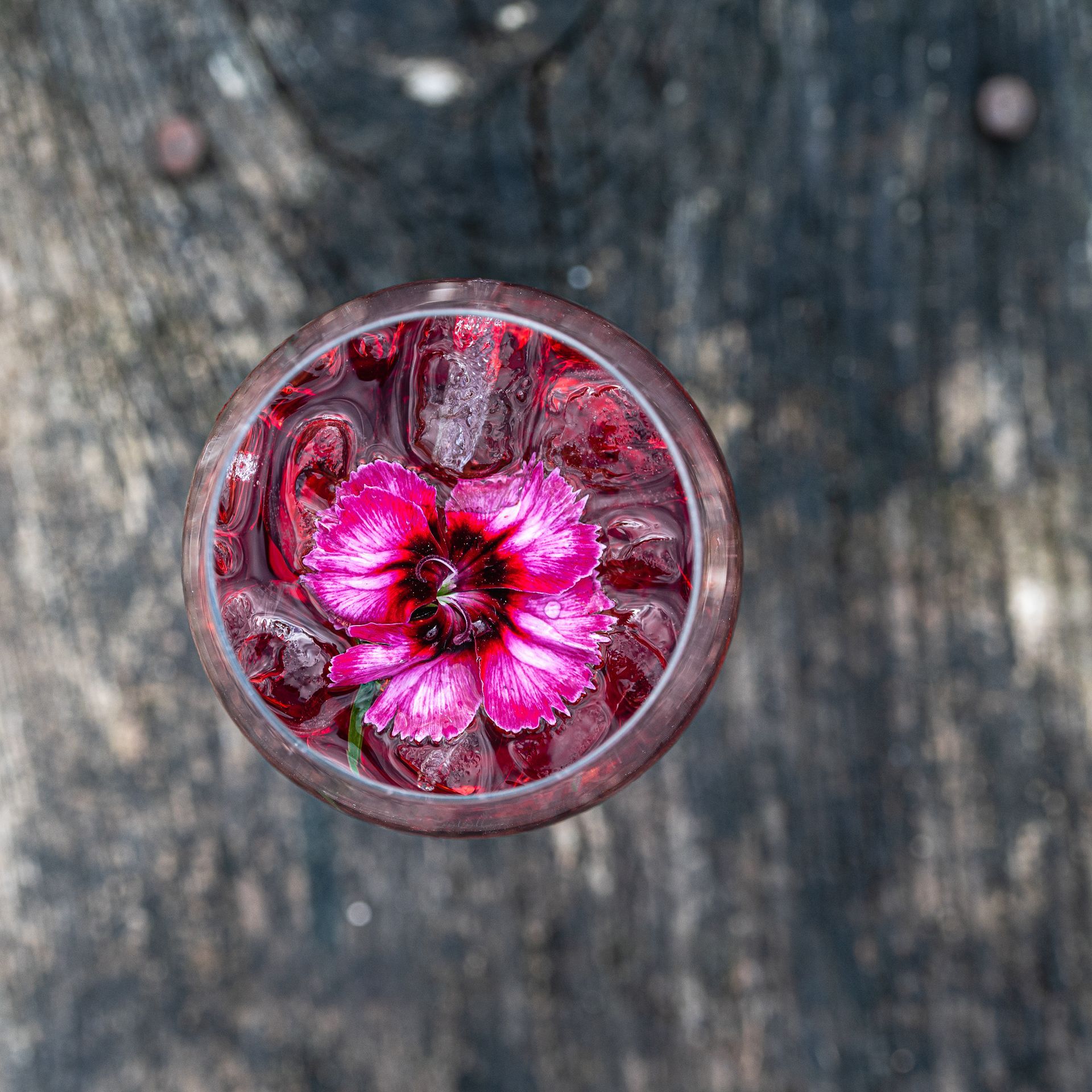 Summer_Drinks_Berkshire_Caterers